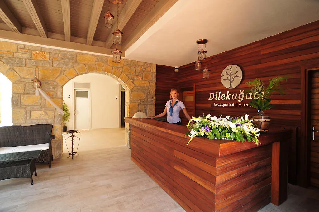 Dilekagaci Boutique Hotel And Beach 奥塔肯特