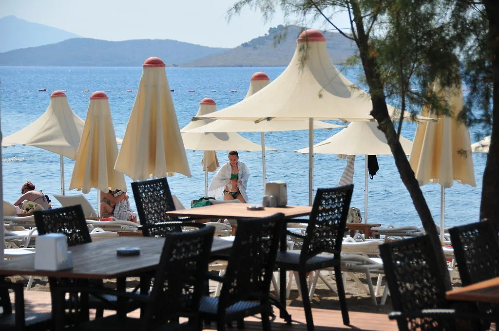 Dilekagaci Boutique Hotel And Beach 奥塔肯特